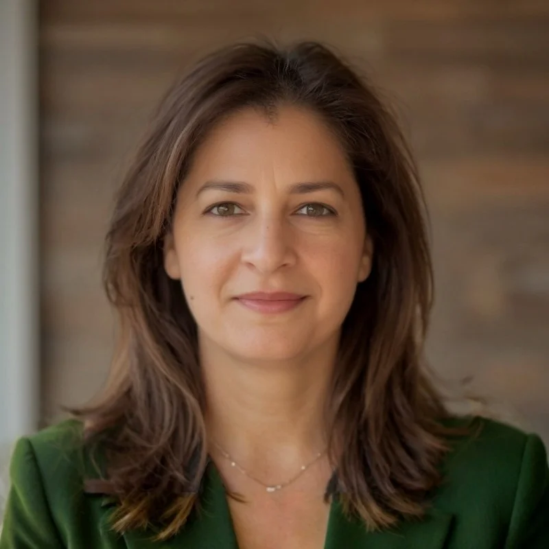 Tahira Shaheen, Chief Data Officer at ING